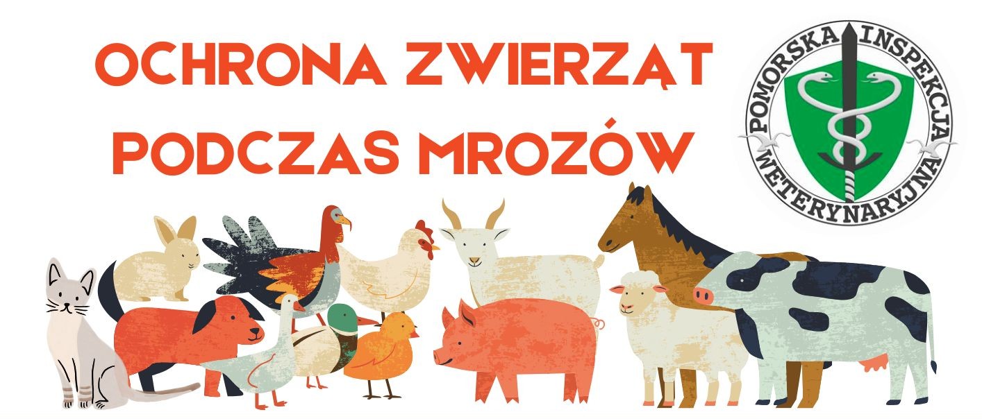 Komunikat w sprawie ochrony zwierząt podczas mrozów